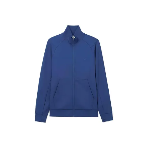 Свитшот LACOSTE Мужской Темно-синий