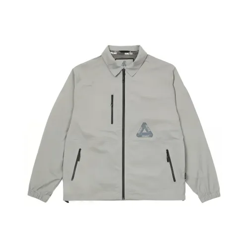 Дворцовый серый мужской куртки