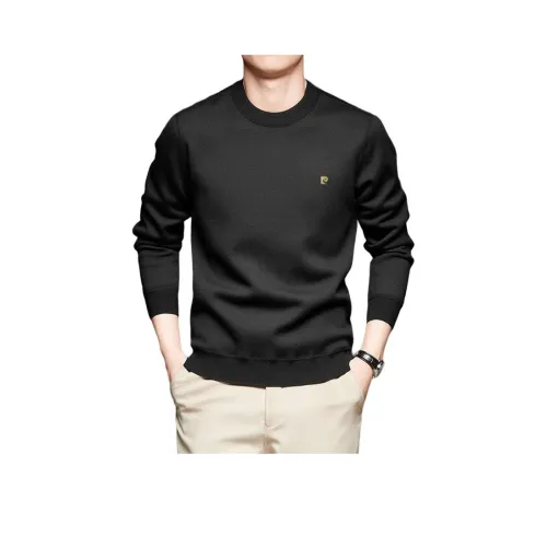 PIERRE CARDIN Мужские Свитера