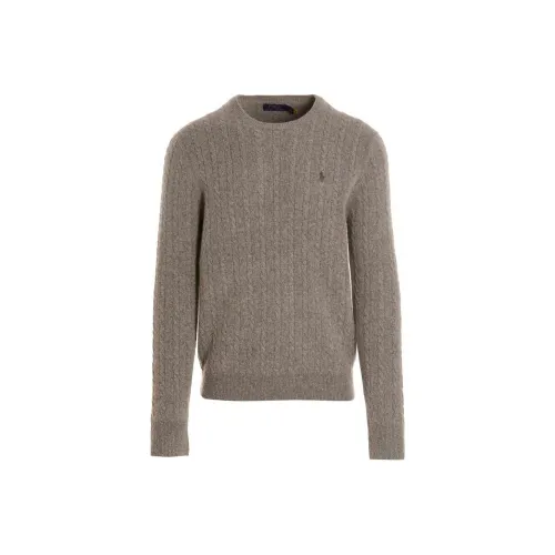 Polo Ralph Lauren Свитер Мужской Коричневый