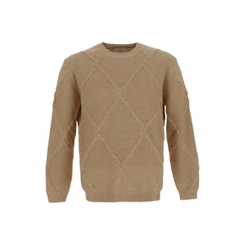 BALLANTYNE CAMEL Мужские Свитера