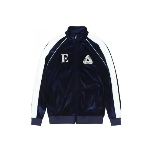 Дворцовый синий мужской куртки