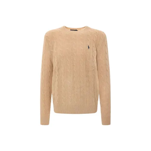Polo Ralph Lauren Свитер Мужской Коричневый
