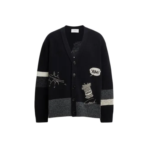 COACH FW24 Свитер Унисекс Черный