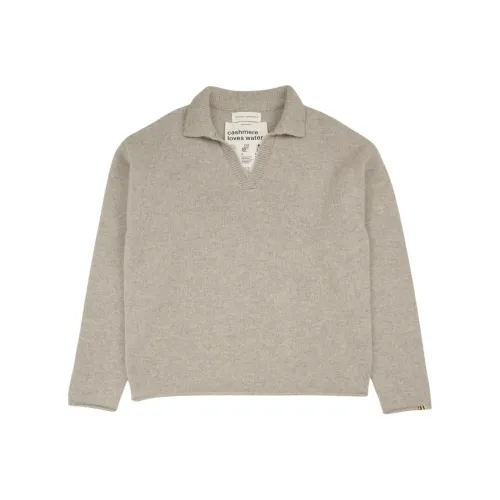 Extreme Cashmere Светло-серый Унисекс Свитеры