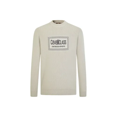 Cavalli Class Мужские Свитера