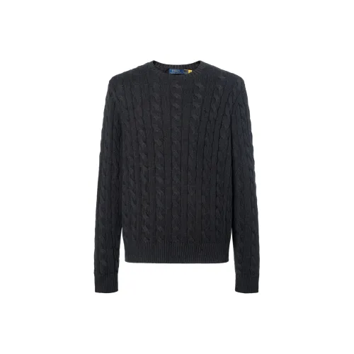 Polo Ralph Lauren FW23 Трикотаж Мужской Серый