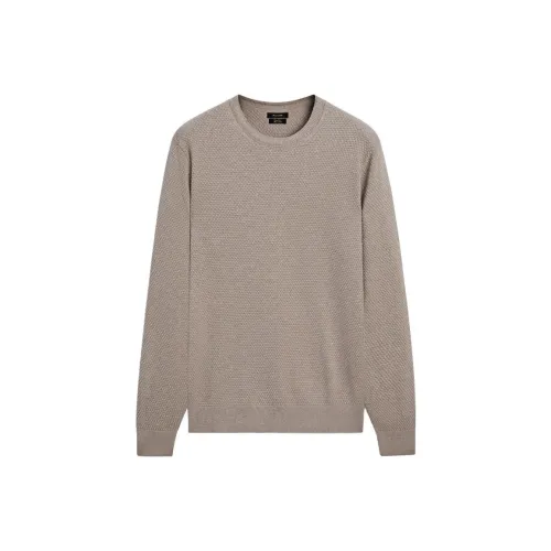 Massimo Dutti Темные Умбра Мужские Свитера