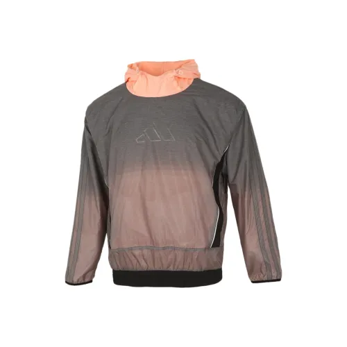 Adidas Серые Мужские Куртки