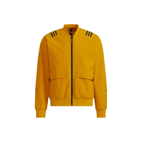 Adidas Куртки и Пальто Мужские Золотого цвета