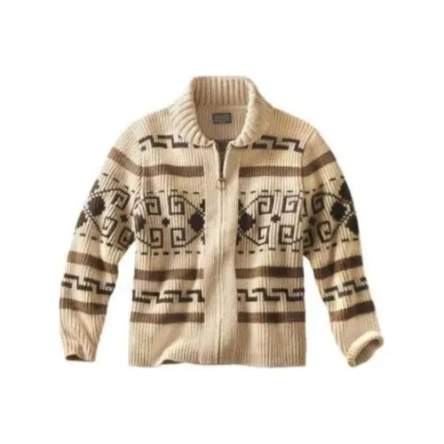 PENDLETON Коричневые Мужские Свитера