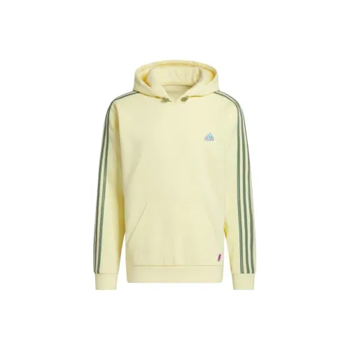 Adidas Sportswear Солнцезащитные очки Пачка Толстовка Толстовка Мужской Near Желтый