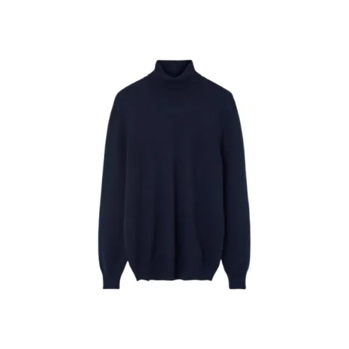 Gran Sasso Синие Мужские Свитера