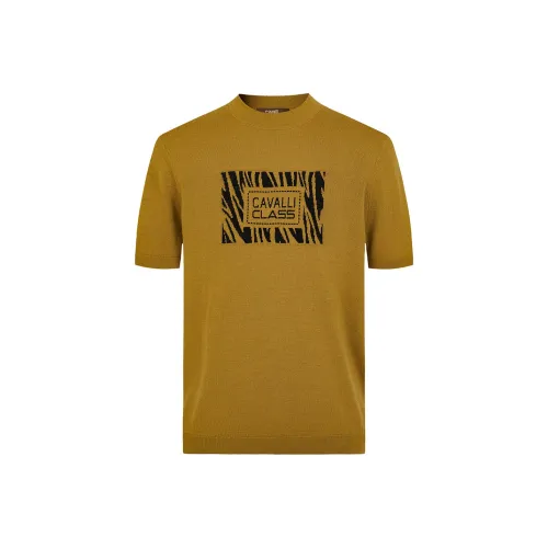 Cavalli Class Мужские Свитера