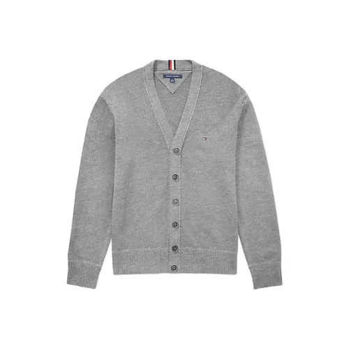 Tommy Hilfiger Светло-серые Мужские Свитера