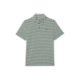 Белый, зеленый, полосы.