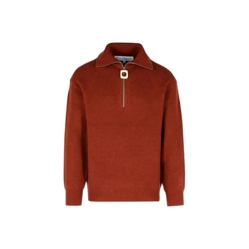 JW Anderson Коричневые Мужские Свитера