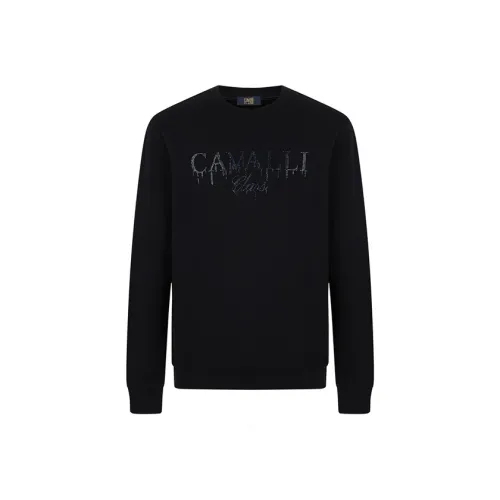 Cavalli Class Мужские Свитшоты