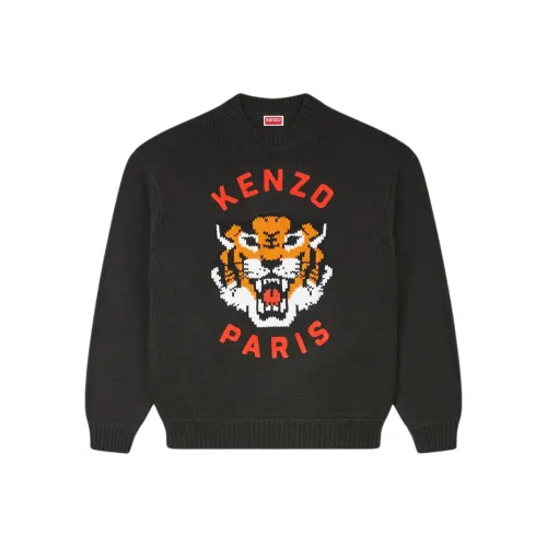 KENZO SS24 Трикотаж Унисекс Черный