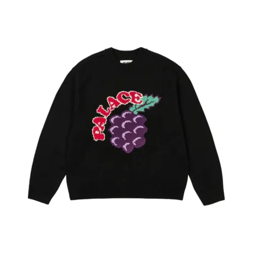 Дворцовый FW24 Черный Унисекс Свитеры