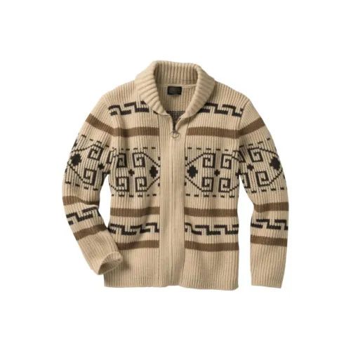 PENDLETON Коричневые Мужские Свитера