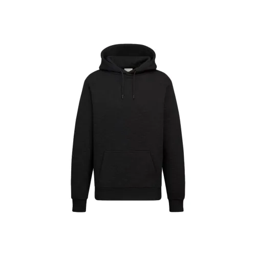 DIOR SS25 Толстовка Мужской Черный