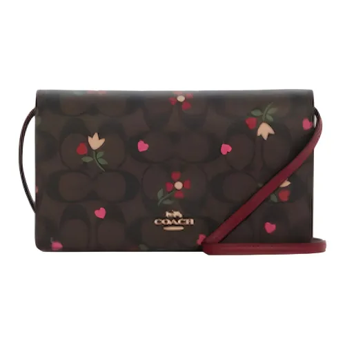 COACH Anna Кожа Конверт Сумка через плечо Маленькая Женская Коричневая Бургунди Многоцветная