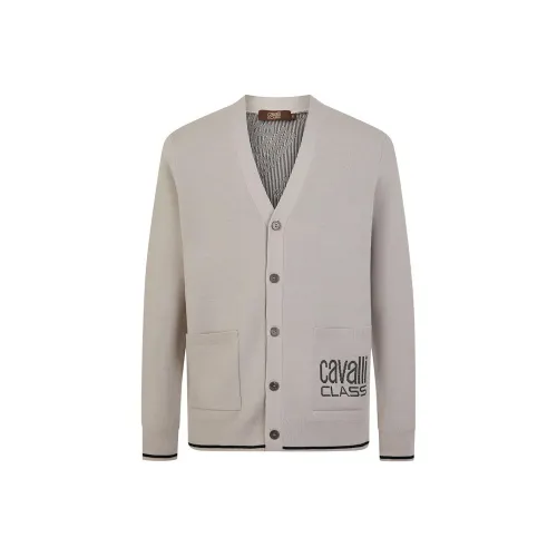Cavalli Class Мужские Свитера