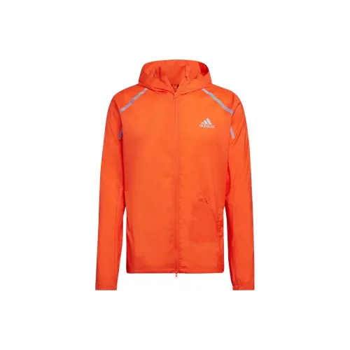Adidas Orange Мужские Куртки
