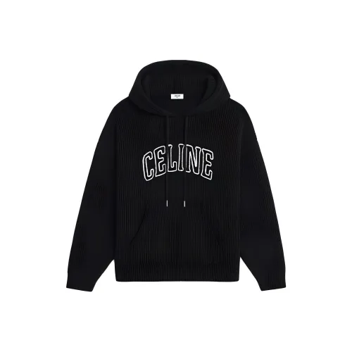 Celine Черные Мужские Свитшоты
