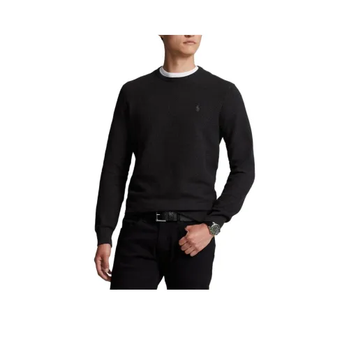 Polo Ralph Lauren FW24 Трикотаж Мужской Угольный Серый