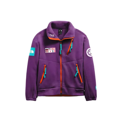 THE NORTH FACE Antarctic Collection Куртка Осенняя Унисекс Фиолетовая