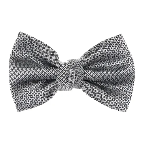 Lanvin Мужской шелковый бант