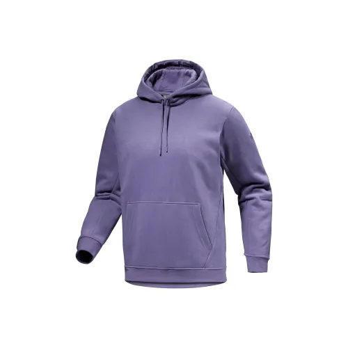 Arcteryx Emblem Bluesign Толстовка Мужская