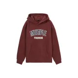 18 Бургундский