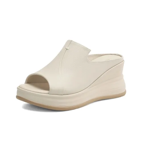 BOERDIQI ПУ (полиуретан) Полиуретан Устойчивый к истиранию Слипоны Женские