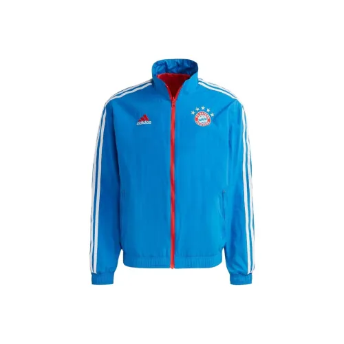 Adidas Bright Royal Blue Men's Jackets