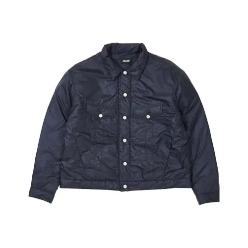 Дворцовый синий мужской куртки