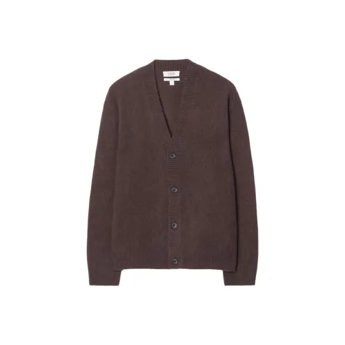 COS Коричневый Мужской Трикотаж