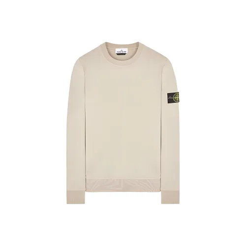 STONE ISLAND Свитшот Мужской Серый Голубь