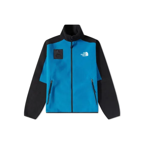The North Face Синий Мужской Куртки