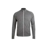 Цвет серой чайки