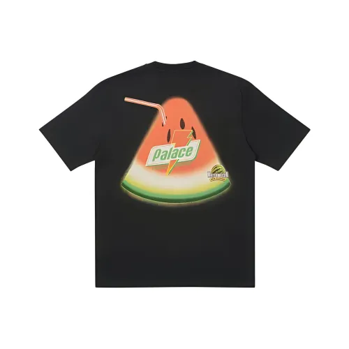 Дворцовый черный унисекс футболка