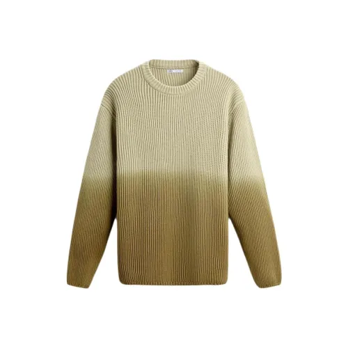 ZARA Коричневый Мужской Трикотаж