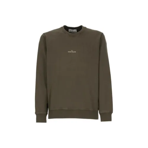 STONE ISLAND SS25 Толстовка Мужской Зеленый