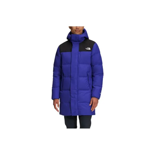 The North Face Синий Мужской Куртки