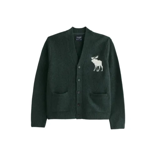 Abercrombie＆Fitch Зеленый Унисекс Трикотаж