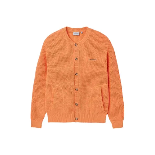 Carhartt WIP FW24 Трикотаж Мужской