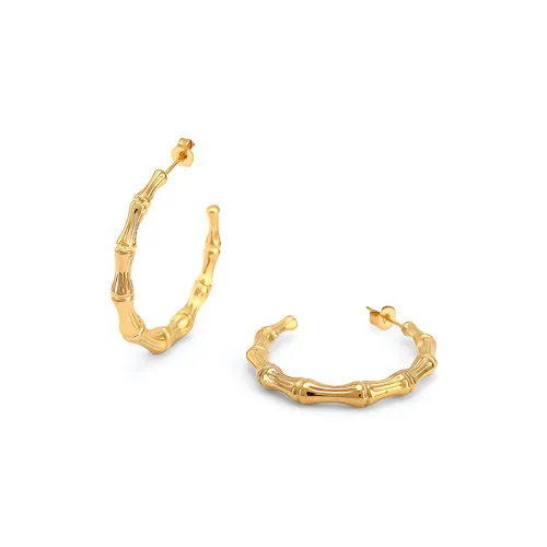 LANZOOM Сплав/Серебряное покрытие/Золотое покрытие Серьги-гвоздики Женские