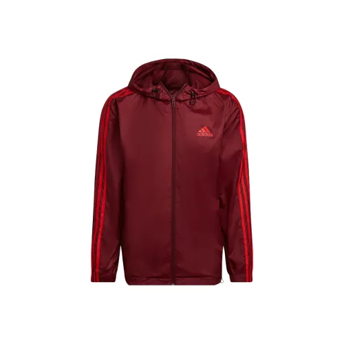 Adidas Темно-красные Мужские Куртки